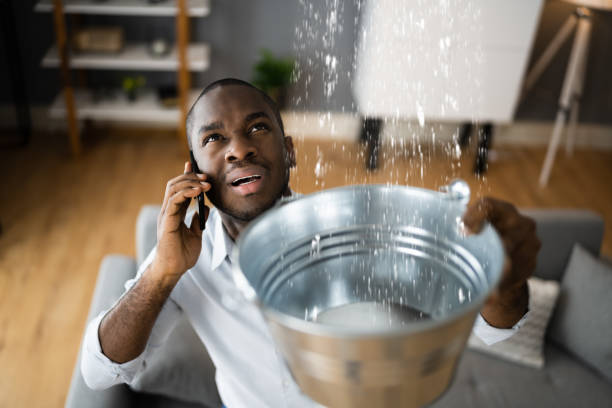 Best Water damage mitigation services  in Spearfish, SD