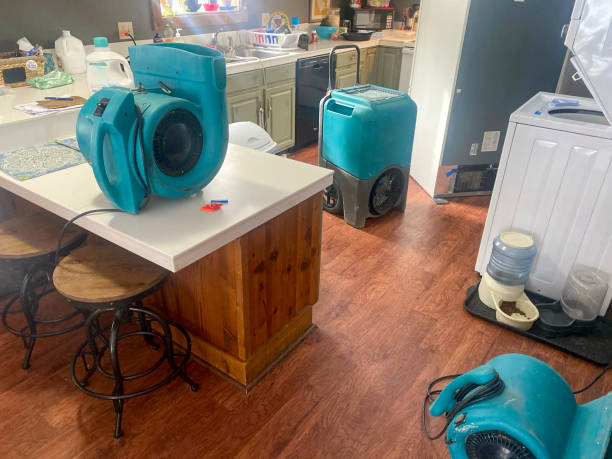 Best Water damage restoration near me  in Spearfish, SD