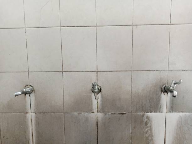 Best 24/7 water damage repair  in Spearfish, SD