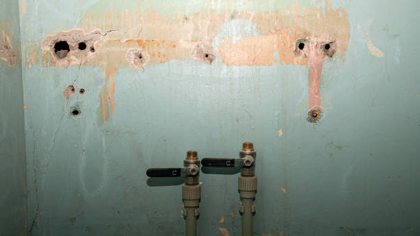 Best Commercial water damage restoration  in Spearfish, SD