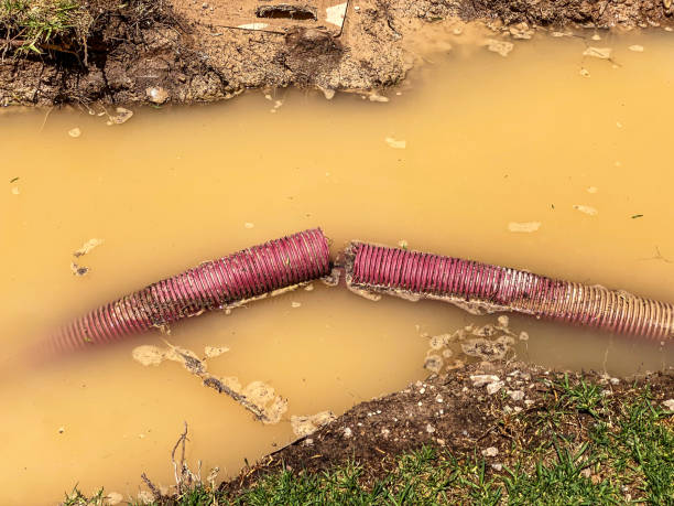 Best Emergency water damage restoration  in Spearfish, SD