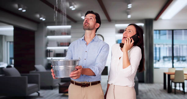 Best Ceiling water damage repair  in Spearfish, SD
